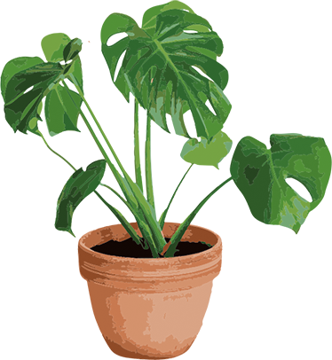 Covor vinil flori și plante ghiveci monstera simplu - TenStickers