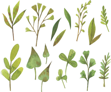 Covor vinil flori și plante frunze mici aquarella - TenStickers