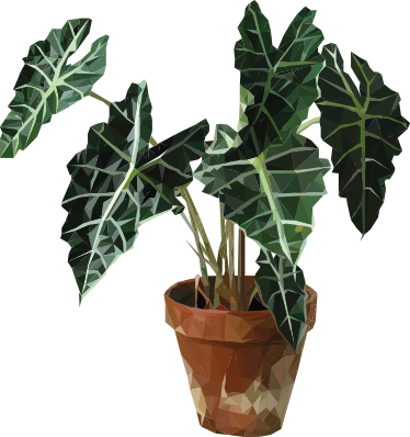 Covor vinil flori și plante ghiveci geometric - TenStickers