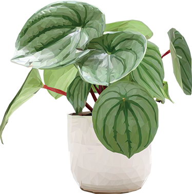 Covor vinil flori și plante pentru plante de interior - TenStickers