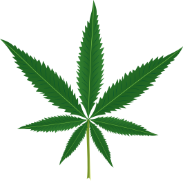 Covor vinil flori și plante frunză de marihuană - TenStickers