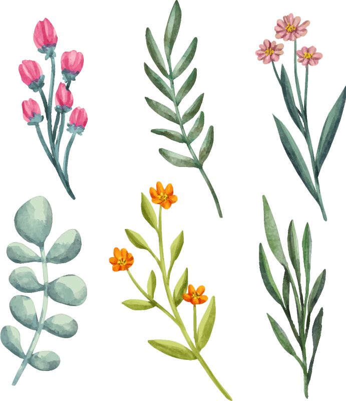 Covor vinil flori și plante ramuri de plante - TenStickers