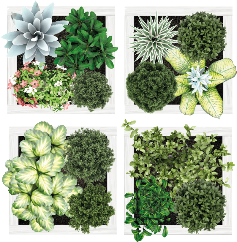 Covor vinil flori și plante plăci verticale de grădină - TenStickers
