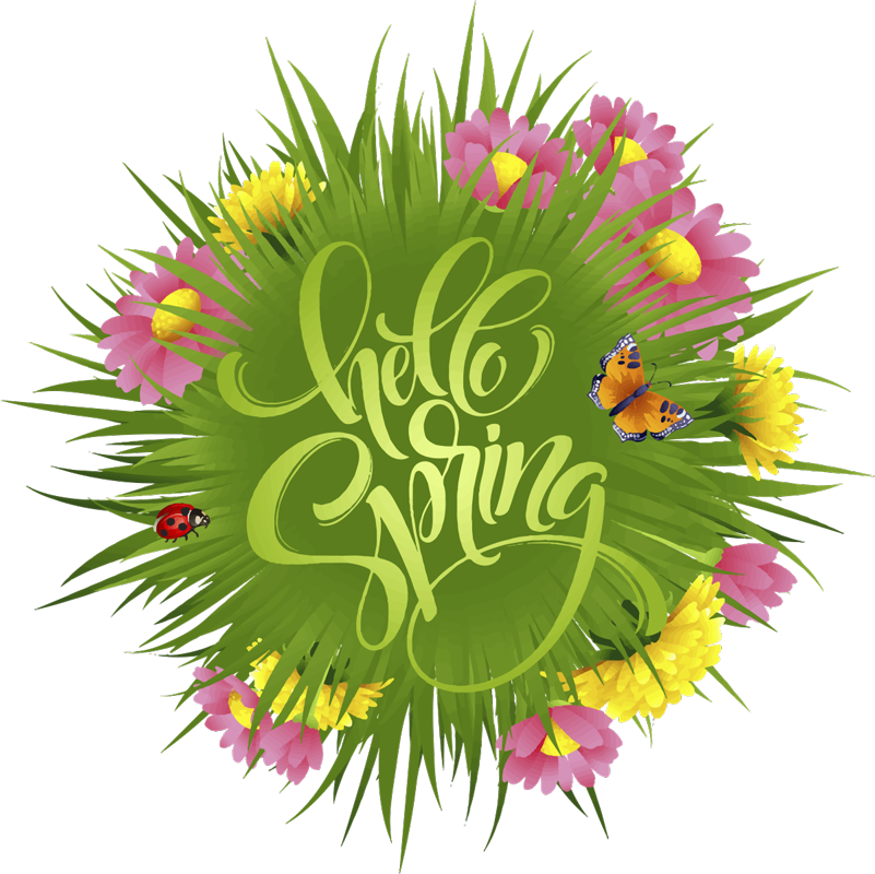 Covor vinil flori și plante flori de câmp de primăvară - TenStickers