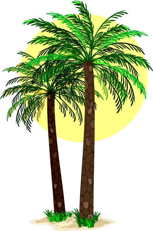 Covor vinil flori și plante palmieri tropicali - TenStickers