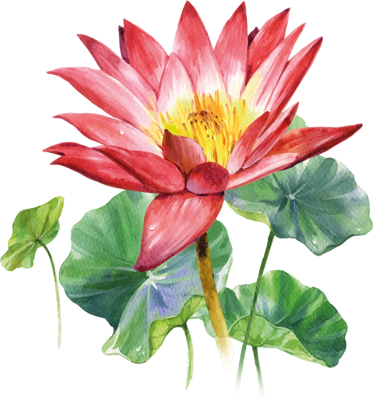 Covor vinil dormitor iluzie acuarelă lotus - TenStickers