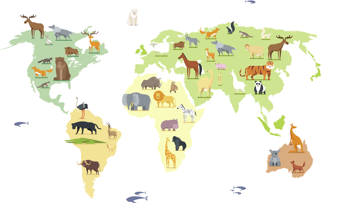 Covor vinil dormitor animale colorate din continente - TenStickers