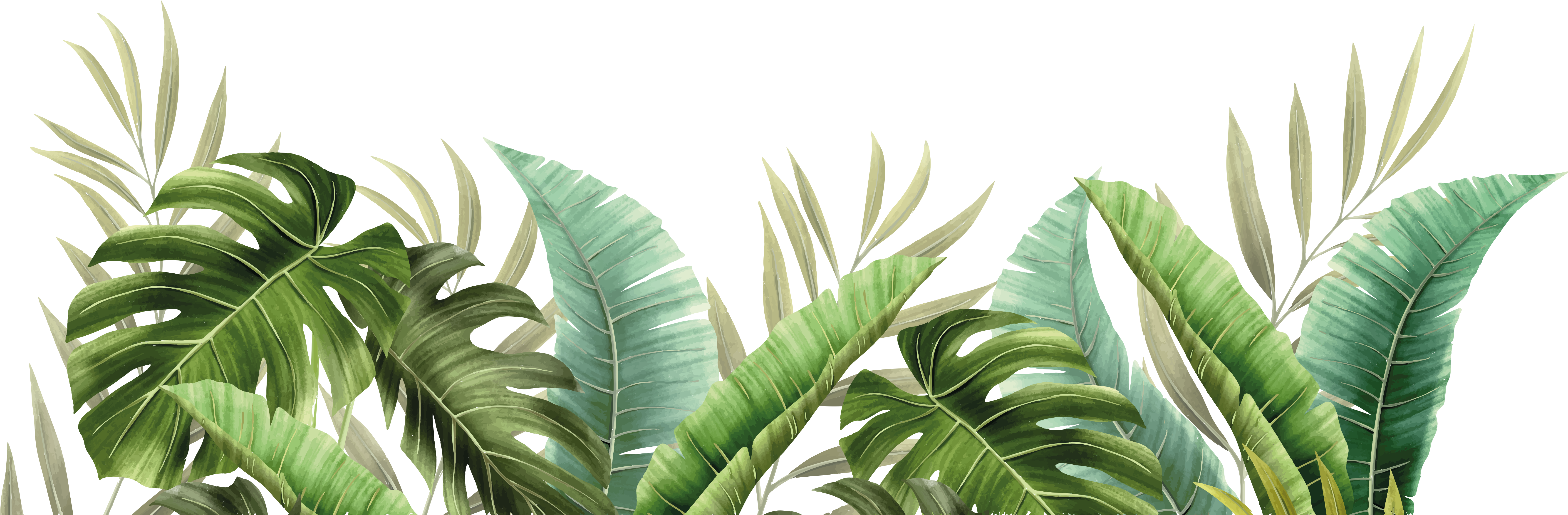 Covor de vinil pentru baie plante tropicale - TenStickers