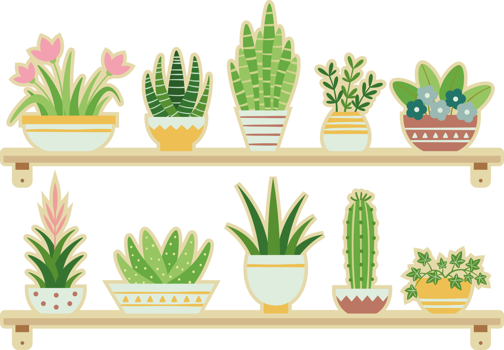 Covor de vinil pentru bucătărie set raft plante cactus - TenStickers