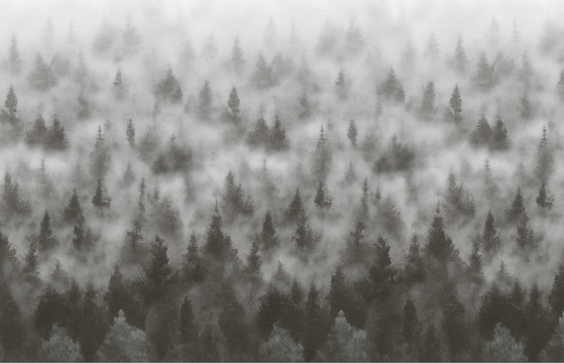 Covor vinil dormitor munte misterios 3d în ceață - TenStickers