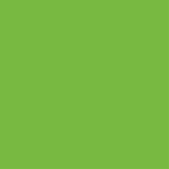 Covor vinil dormitor foaie verde pentru dulap - TenStickers