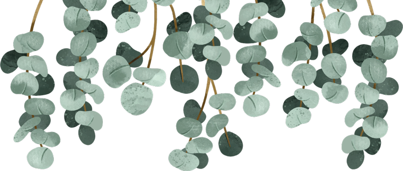 Covor vinil dormitor plante suspendate - TenStickers