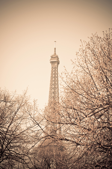 Covor vinil dormitor fotografie turn eiffel și copaci - TenStickers