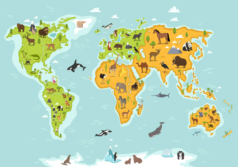 Covor de vinil harta lumii cu fauna și flora - TenStickers