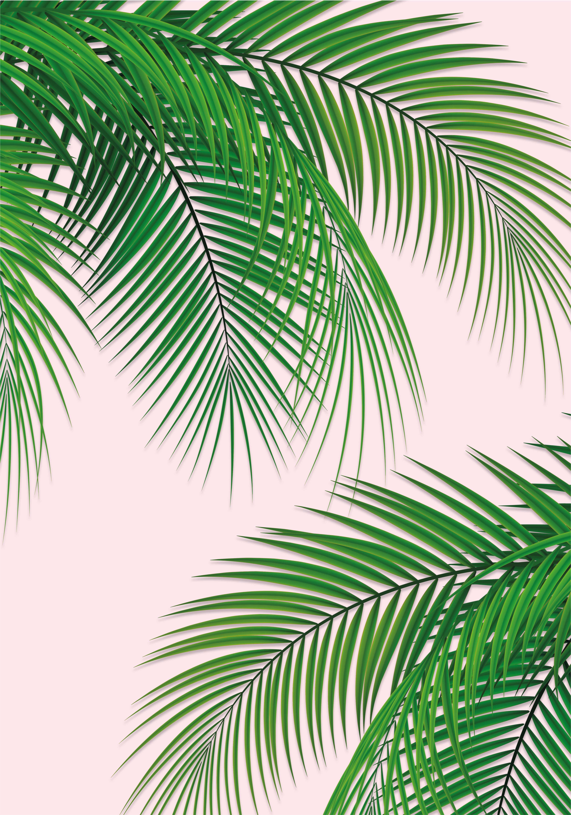 Covor vinil flori și plante frunze tropicale - TenStickers