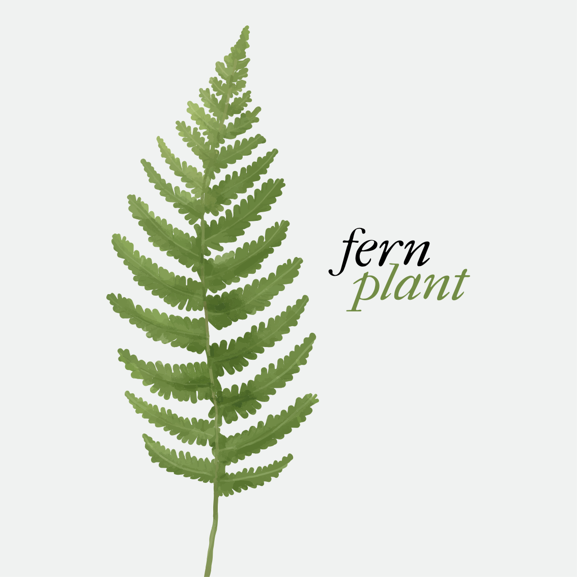 Covoare de vinil cu fraze plante de ferigă stil minimalist - TenStickers