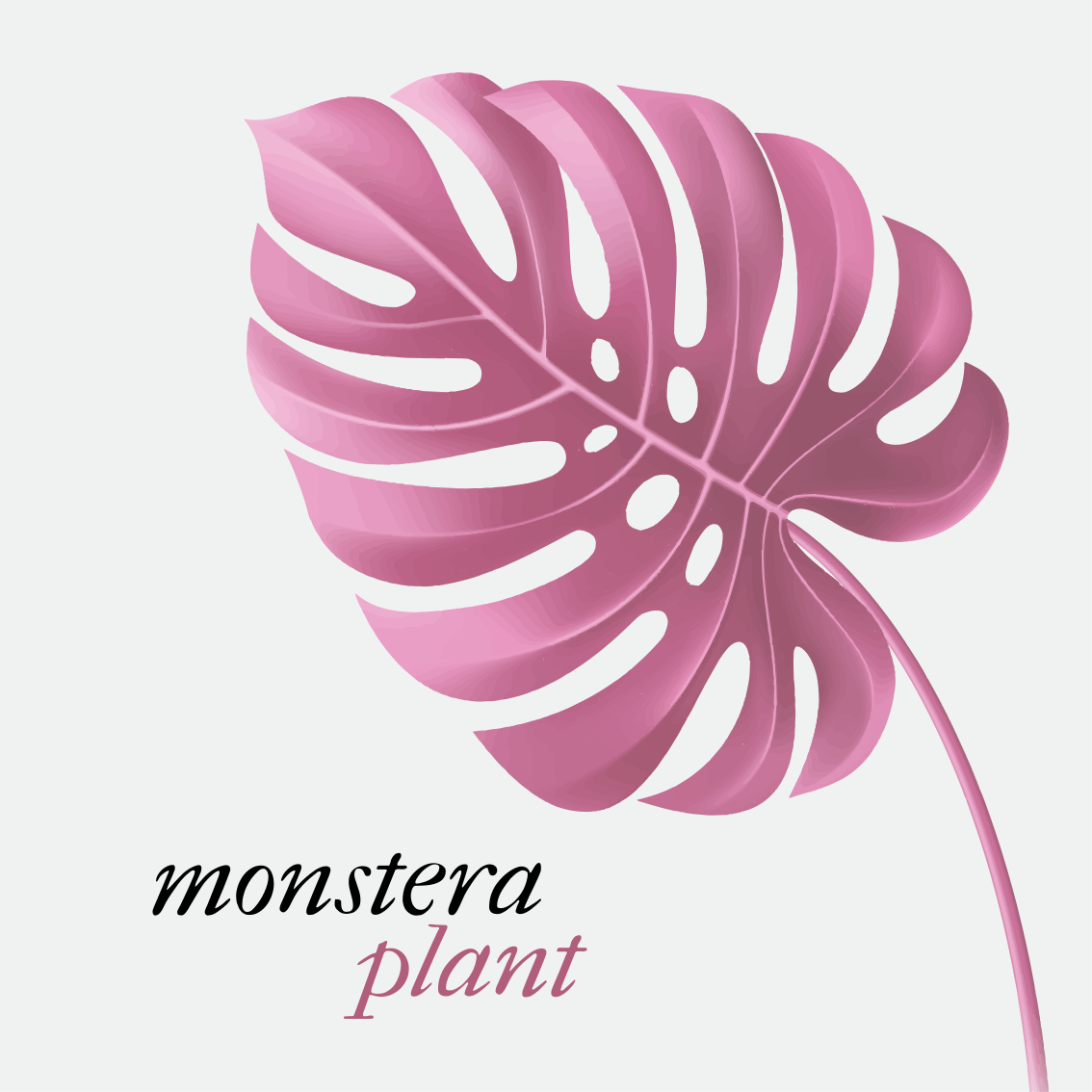 Covoare de vinil cu fraze stil monstera roz minimalist - TenStickers