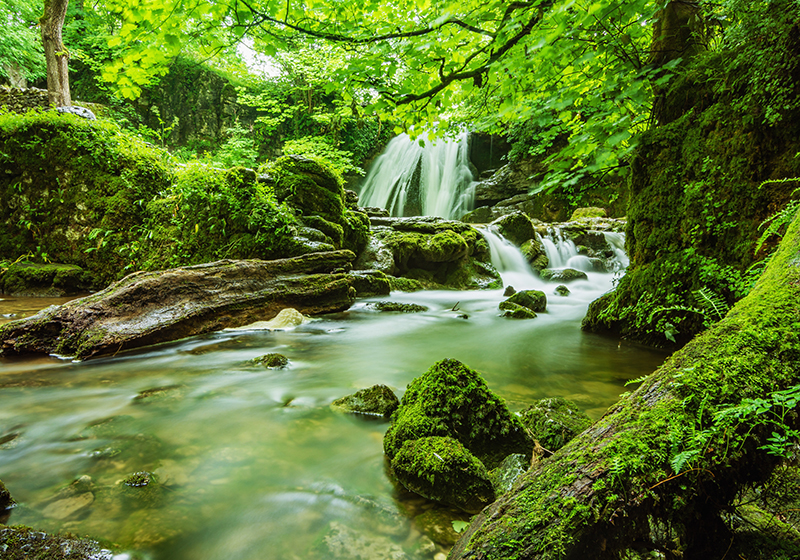 Covor vinil verde cascada serenă - TenStickers