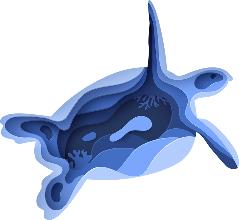 Covor vinil animal formă de țestoasă de mare - TenStickers