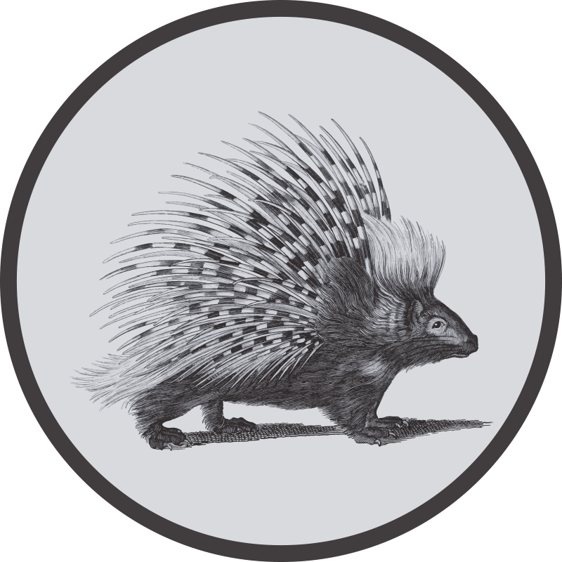 Covor vinil animal ilustrație de porcupin - TenStickers