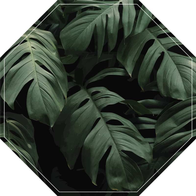 Covor floral cu frunze monstera - TenStickers