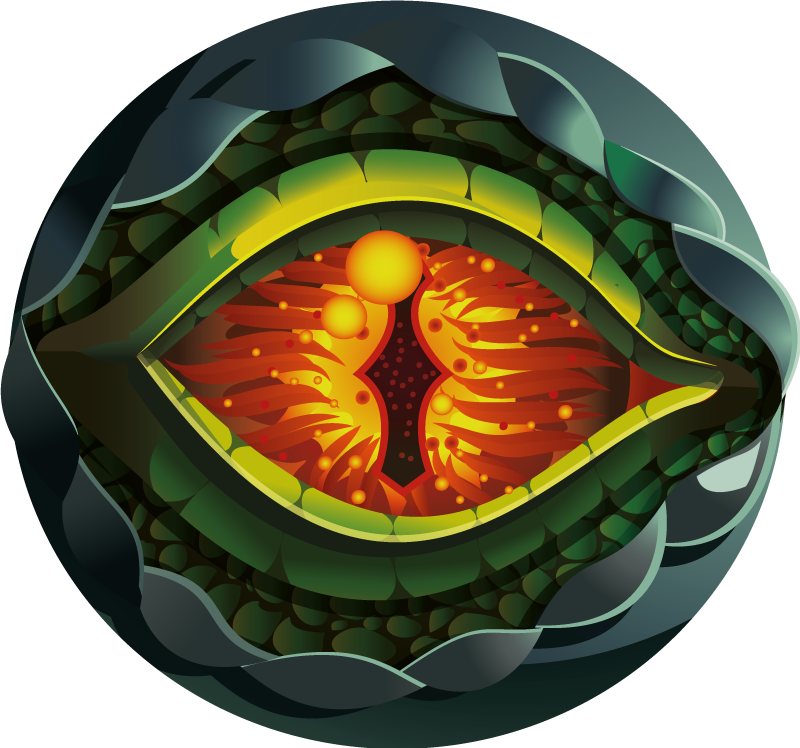 Covor de ochi de dinozaur cu design natural pentru animale - TenStickers