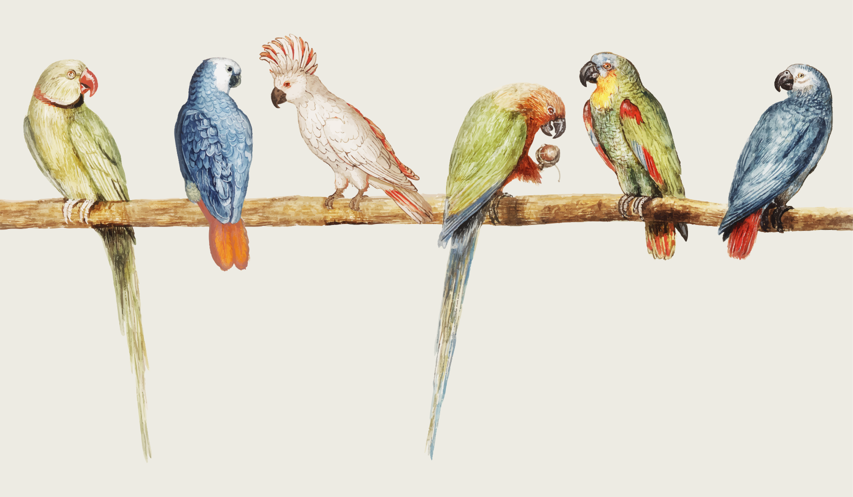 Cenușie modernă cu covor floral cu păsări și ramuri - TenStickers