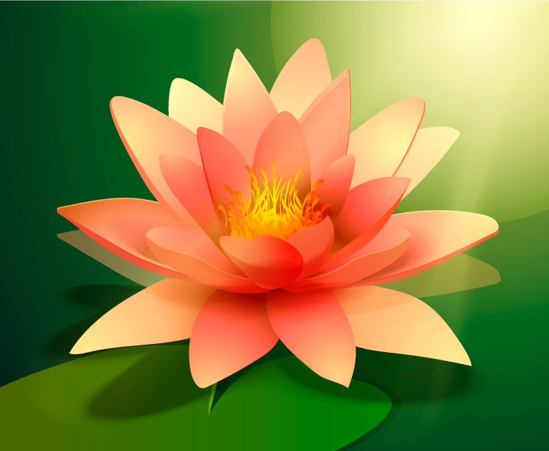 Covor vinil flori și plante lotus înflorit - TenStickers