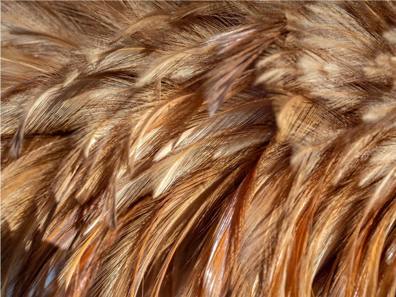 Covor pufos cu pene din vinil cu imprimeu animal - TenStickers