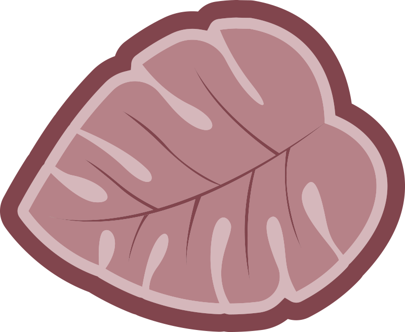 Covor floral cu frunze monstera roz - TenStickers