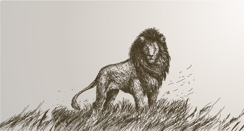 Covor vinil animal reflecție maiestuoasă a leului - TenStickers