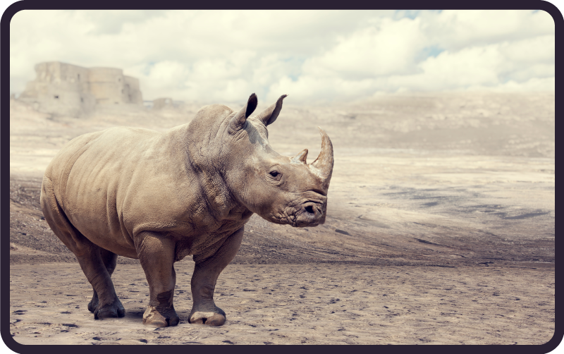Covor vinil animal scenă maiestuoasă cu rinocer - TenStickers