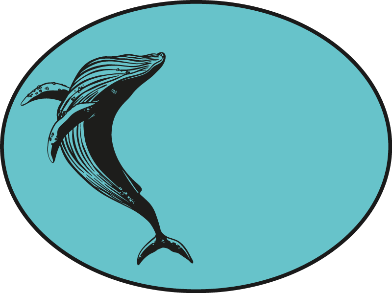 Covor vinil animal motivul balenei maiestuoase - TenStickers