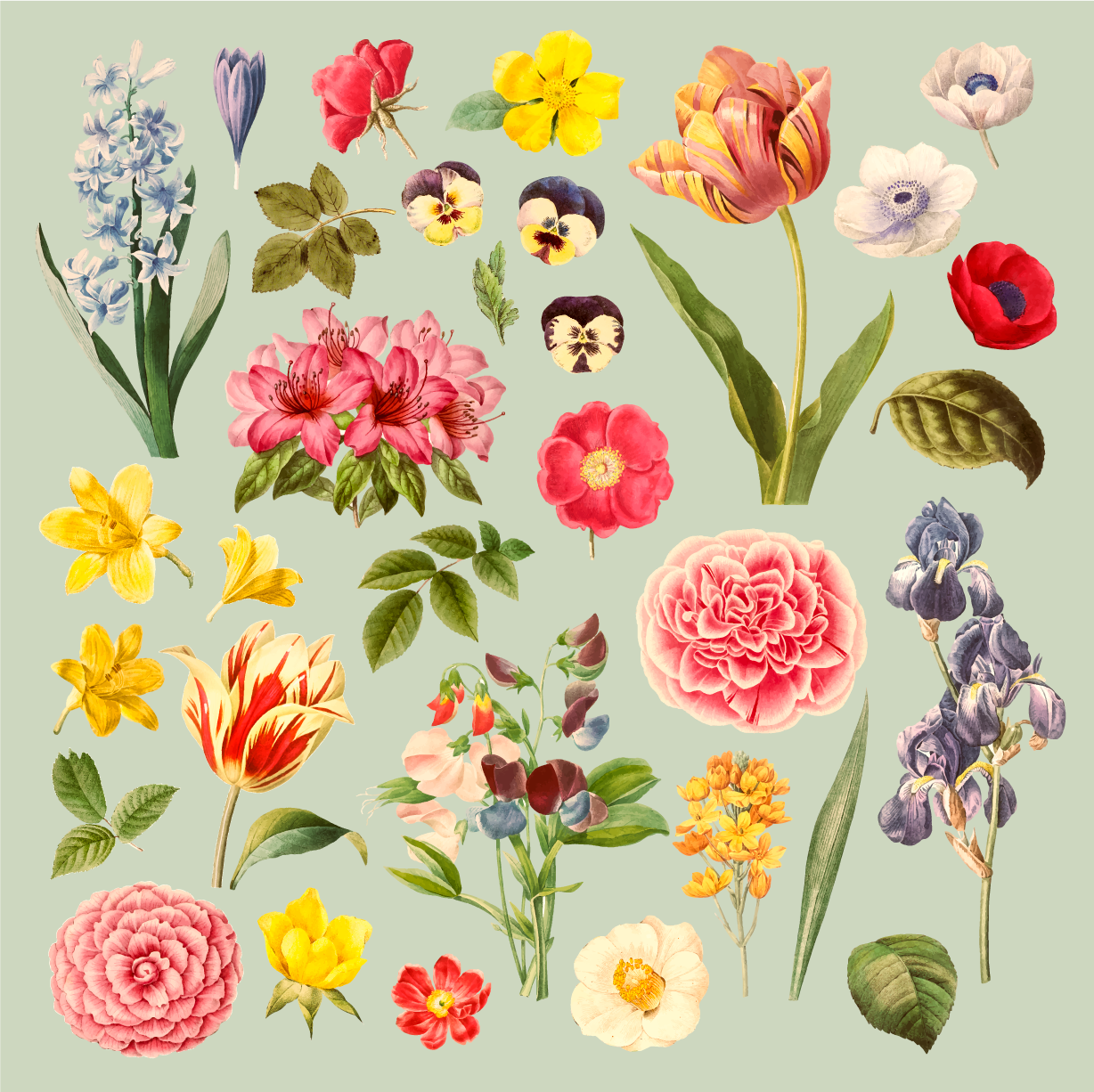 Covor floral de sortimente de bujori și flori - TenStickers