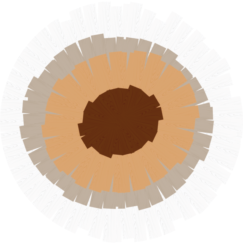 Covor vinil lemn design circular al trunchiului - TenStickers
