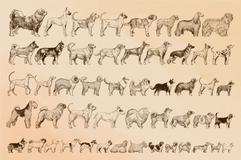 Covor vinil animal ilustrații de câini bej - TenStickers