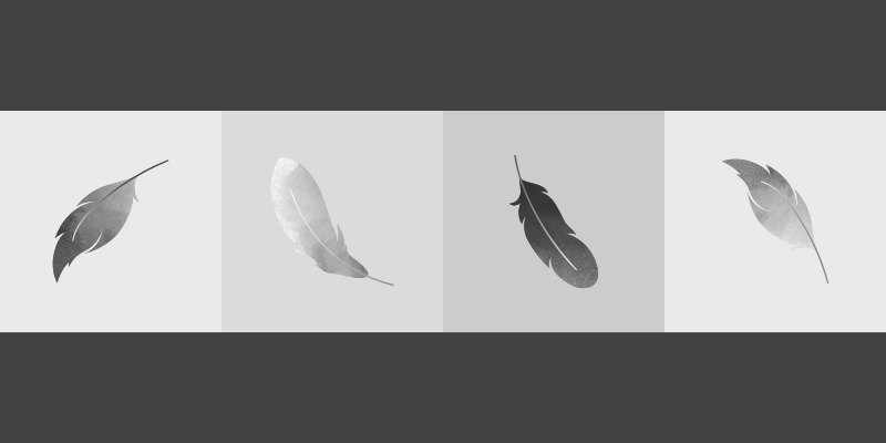 Covor vinil animal minimalismul cu pene - TenStickers