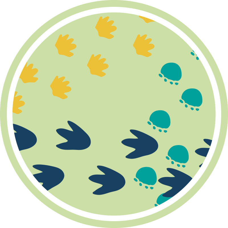 Urme de pași dinozauri covoraș de joacă pentru copii - TenStickers