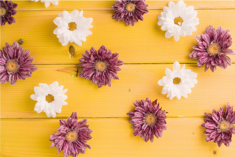 Covor vinil flori și plante petale roz și albe - TenStickers