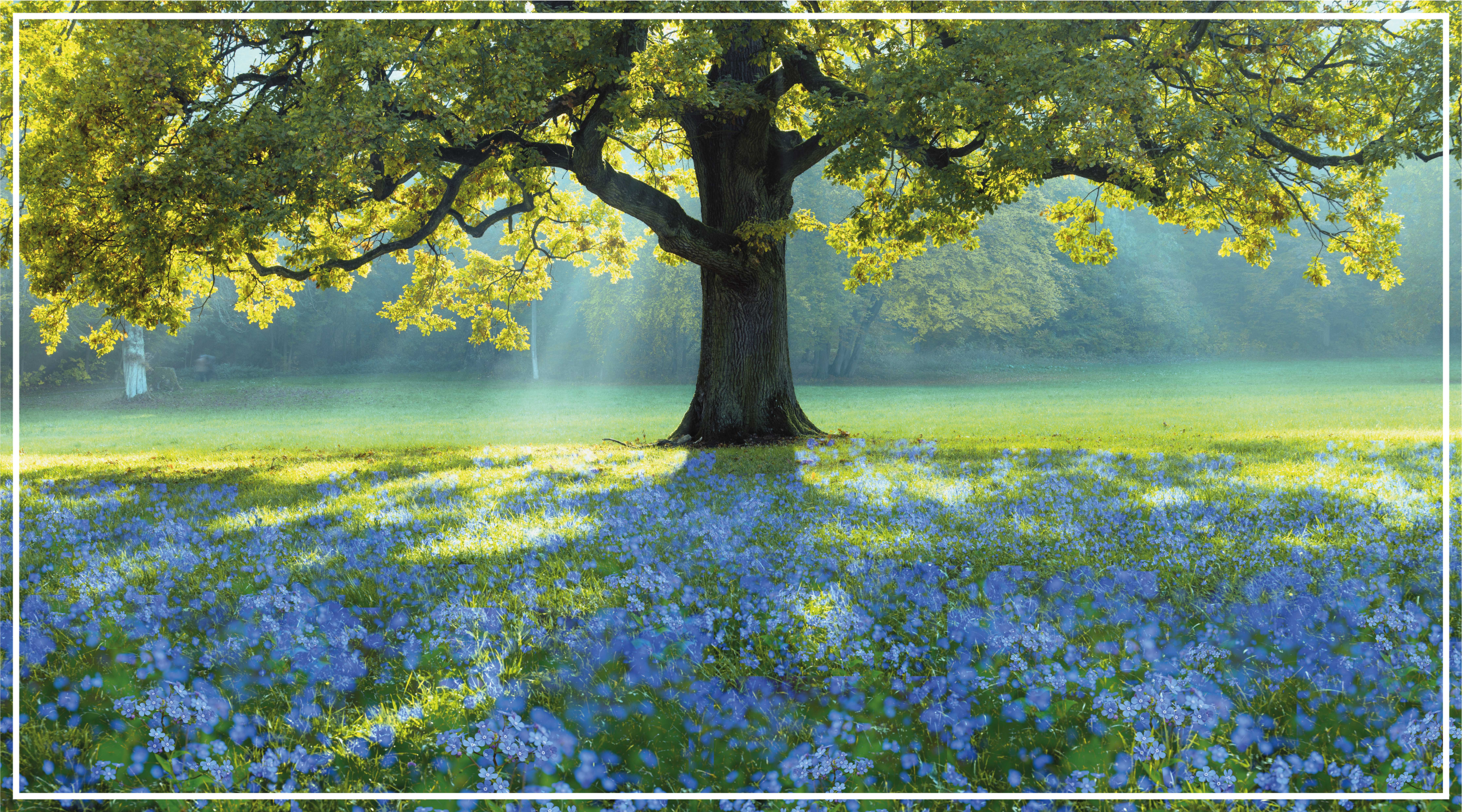 Flori albastre și un covor floral de copac - TenStickers