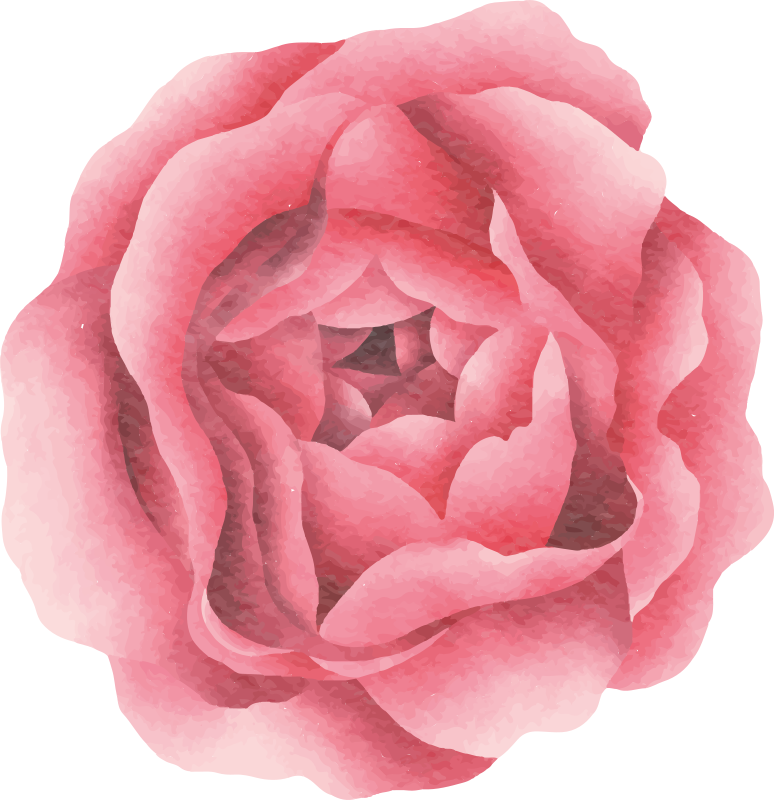 Covor vinil flori și plante floare roz pal - TenStickers