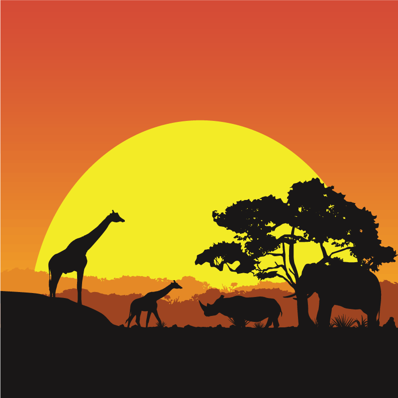 Covor modern savana africana - TenStickers