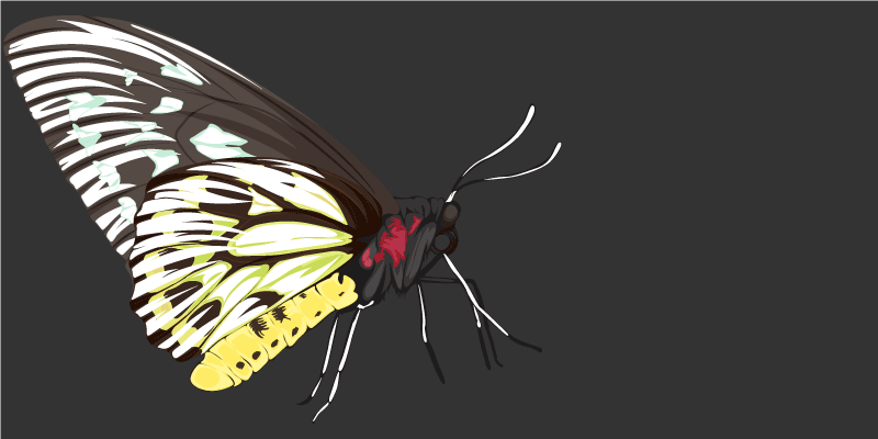 Covor vinil cu aspect de natura imagini cu fluturi - TenStickers