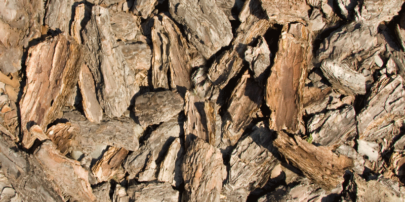 Covor vinil lemn design natural al scoarței de copac - TenStickers