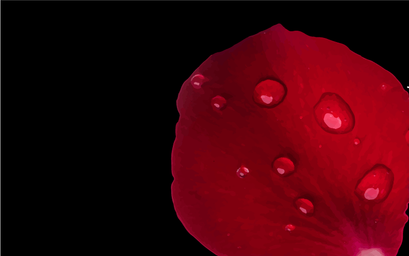 Covor de vinil hol glamour de petale roșii - TenStickers