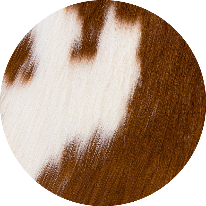 Covor vinil print animalier reprezentare piele de vacă - TenStickers