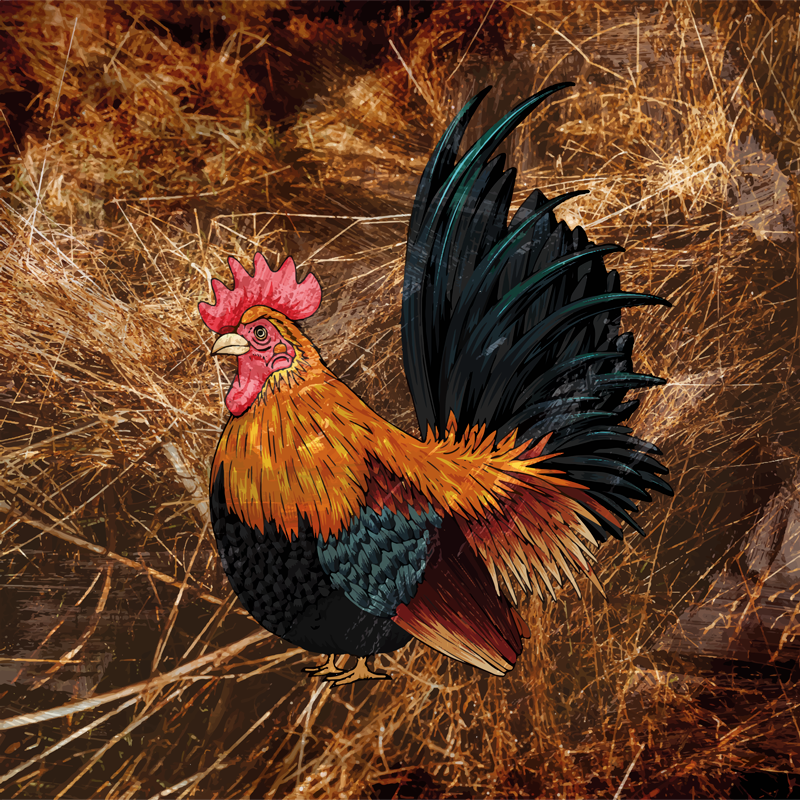 Covor vinil print animalier reprezentare vibrantă cocoș - TenStickers