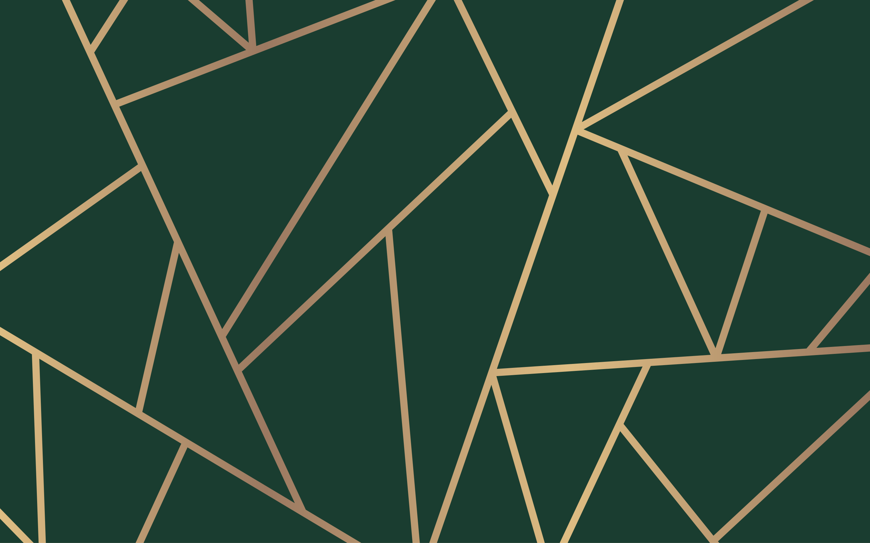 Covor de vinil geometric linii elegante verzi - TenStickers