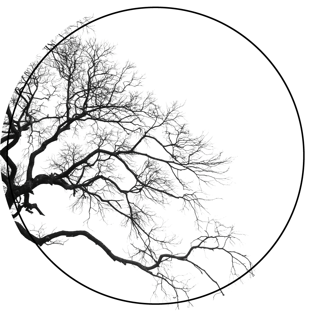 Covor vinil cu aspect de natura artă siluetă ramură - TenStickers