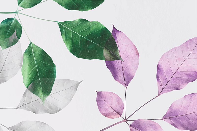 Covor vinil flori și plante imprimeuri botanice cu frunze - TenStickers